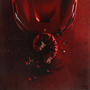 Whatever You Want (Explicit)