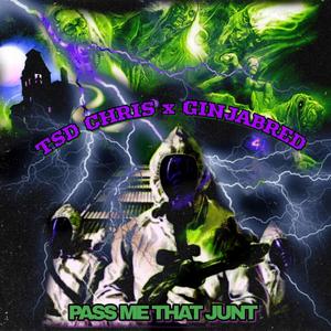 PASS ME THAT JUNT (feat. TSD Chris) (Explicit)