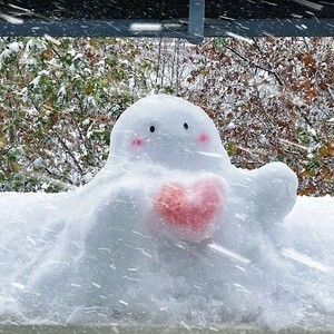 白雪映出我的春天(爱似水仙)
