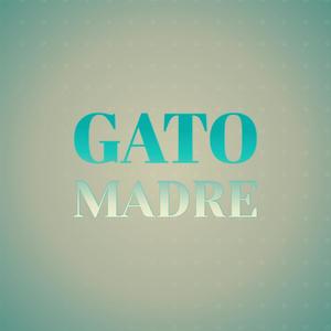 Gato Madre