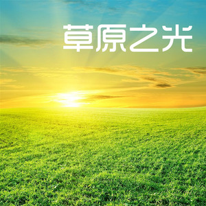 童彤 - 雪域光芒