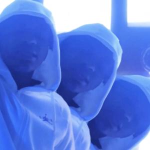 We Dem Boyz (Explicit)