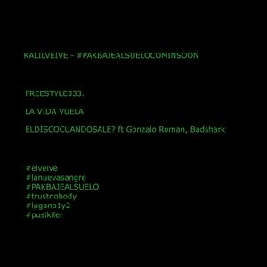 ELDISCOCUANDOSALE? (feat. Gonzalo Roman & BadShark)