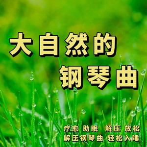张宇桦 - 雨夜回忆都是你
