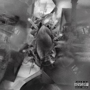 Gotta Be The Shoes(feat. Rankstar Zil) (Explicit)