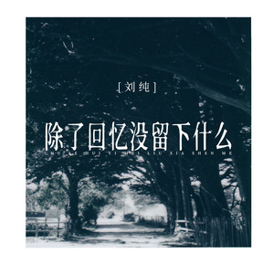 除了回忆没留下什么-刘纯