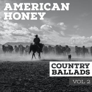 American Honey Vol.2 - Country Ballads