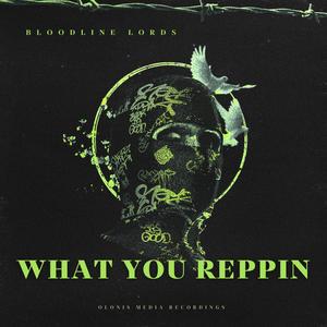 What You Reppin (feat. Bloodline Lords) (Explicit)