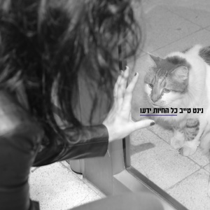 17 שניות