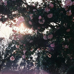 killing me softly (Explicit)