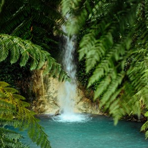 I Like You So Much, You’ll Know It