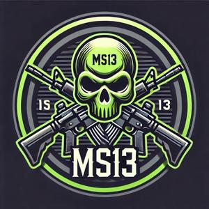 MS13