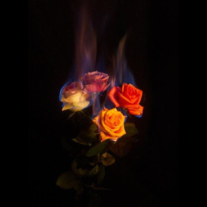 Bent Erroum (Slowed & Reverb)