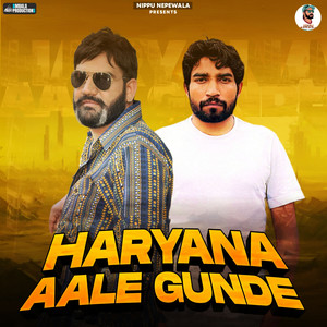 Haryana Aale Gunde