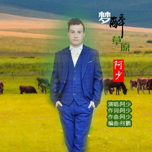 梦醉草原 (DJ何鹏版|DJ版)封面