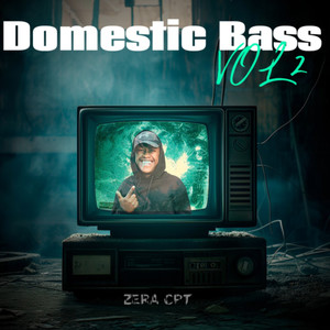 Domestic Bass Vol.2