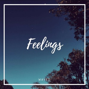 Feelings (demo)