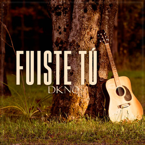 Fuiste tú