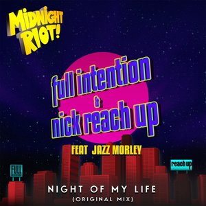 Night of My Life (Instrumental Mix)