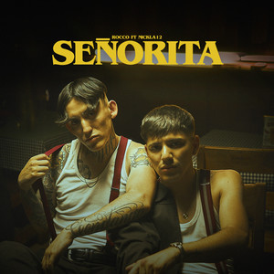 Señorita (Explicit)