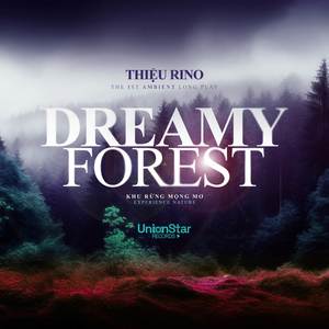 dreamy forest: experience nature