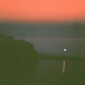 **** you for thinking (feat. Thorkchop)