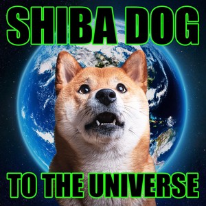 Shiba Dog to The Universe