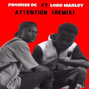 Attention Remix