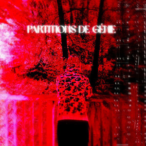 PARTITIONS DE GÉNIE