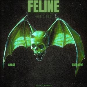 Feline (feat. Draco999) (Explicit)
