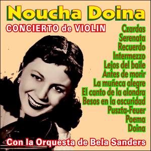 Concierto de Violín