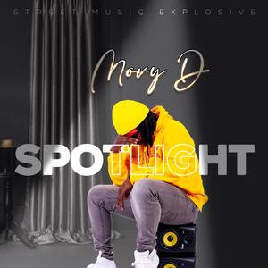 Feelings (feat. Mr OG Afroking)