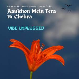 Aankhon Mein Tera Hi Chehra - Vibe Unplugged