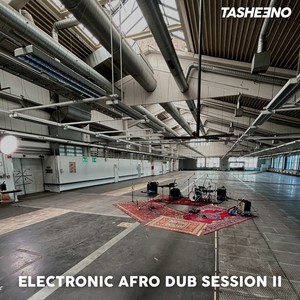 Electronic Afro Dub Sessions II (Live)