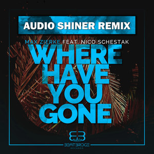 Where Have You Gone (Audio Shiner Remix)