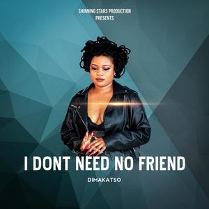 I DON'T NEED NO FRIEND (Radio Edit) [Explicit]