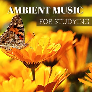 Ambient Music for Studying - Calming Concentration Music to Stimulate Your Brain