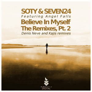 Believe in Myself (Denis Neve Remix)