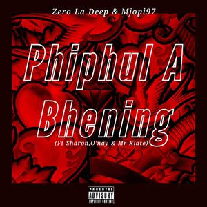 Phiphul A Bhening (feat. Mjopi97, Sharon, O'nay & Mr Klate)