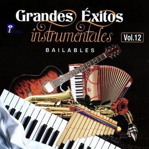 Grandes Éxitos Instrumentales Bailables Vol.12