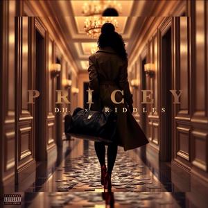 Pricey (feat. Riddles) (Explicit)