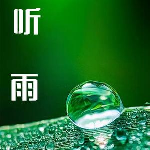 白噪音 下雨天 (DJ长音频)封面
