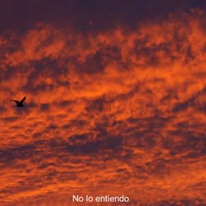 No Lo Entiendo