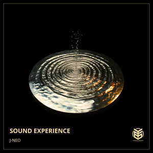 Sound Experience