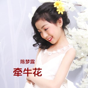 牵牛花