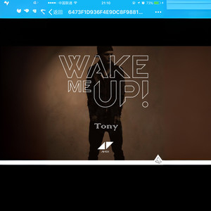 Wake Me Up (Tony Remix)