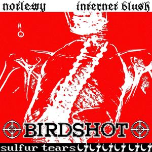 BIRDSHOT (Explicit)