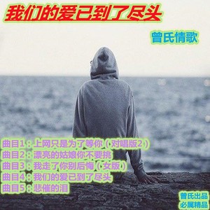 上网只是为了等你