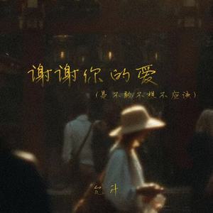 谢谢你的爱(是不敢不想不应该)