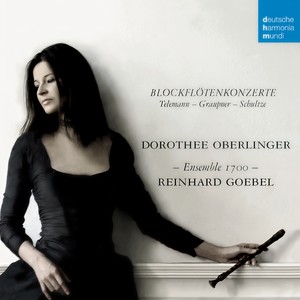 Concerto for Alto Recorder, Strings & Continuo in G Minor, TWV deest - I. Allegro